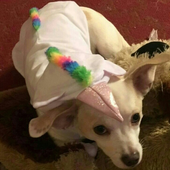 PET FRIENDLY - Picture 7 of 8